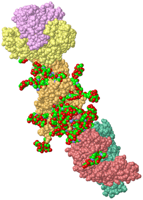 Image Asym. Unit - sites