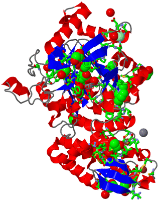 Image Asym./Biol. Unit - sites