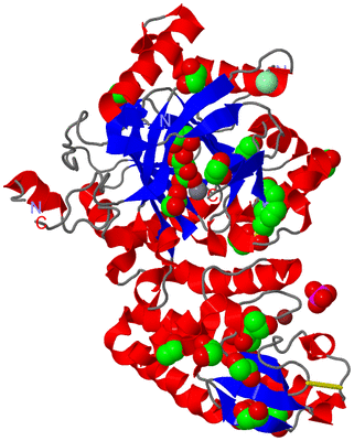 Image Asym./Biol. Unit