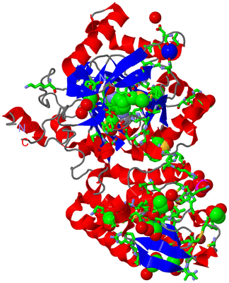 Image Asym./Biol. Unit - sites