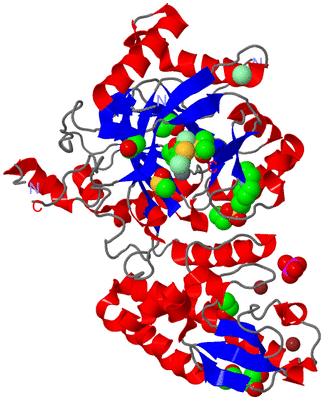 Image Asym./Biol. Unit