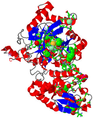 Image Asym./Biol. Unit - sites