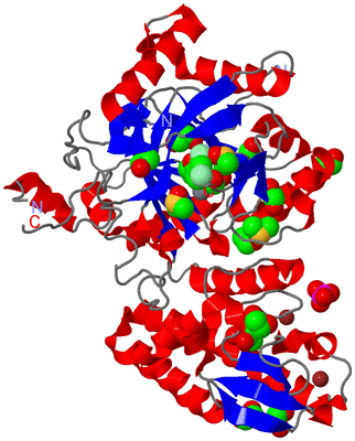 Image Asym./Biol. Unit