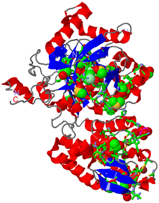 Image Asym./Biol. Unit - sites