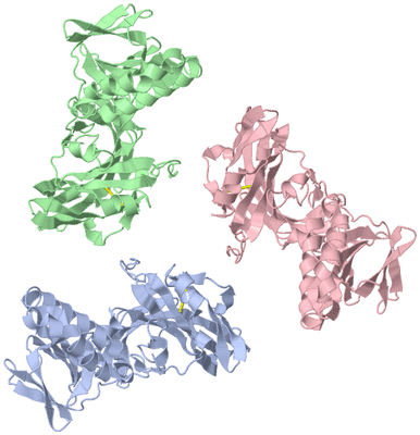 Image Biological Unit 1