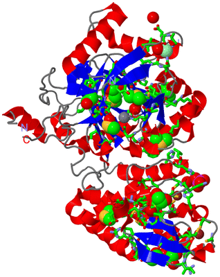 Image Asym./Biol. Unit - sites