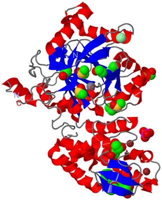 Image Asym./Biol. Unit