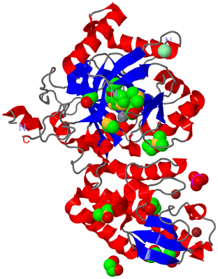 Image Asym./Biol. Unit