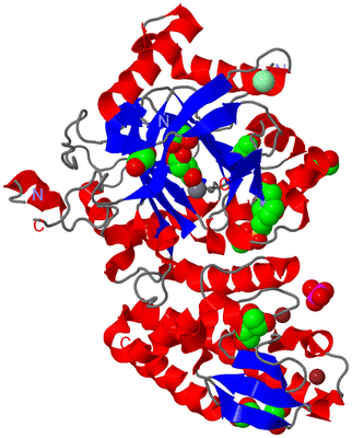 Image Asym./Biol. Unit