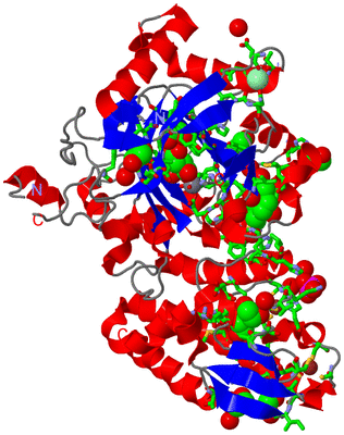 Image Asym./Biol. Unit - sites