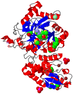 Image Asym./Biol. Unit