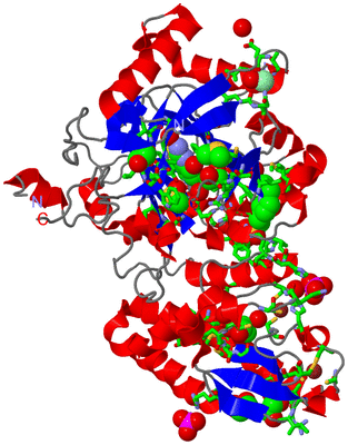 Image Asym./Biol. Unit - sites