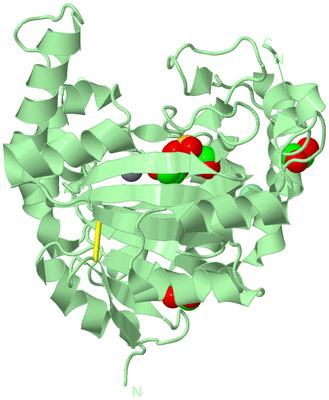 Image Biological Unit 2