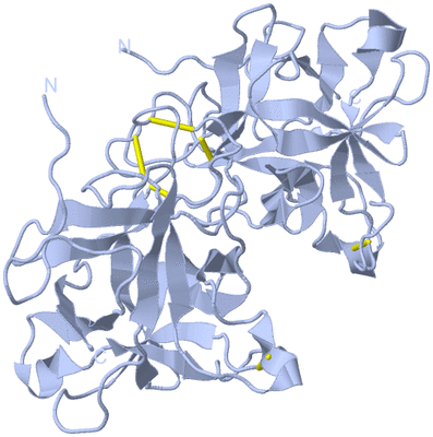 Image Biological Unit 1
