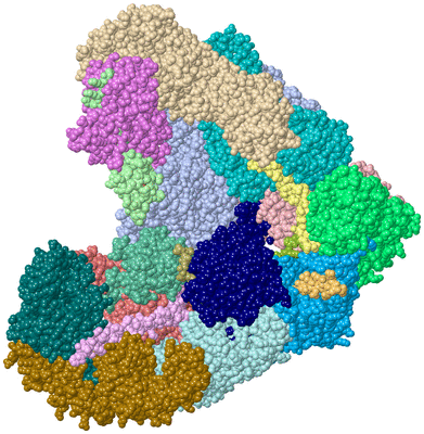 Image Asym./Biol. Unit