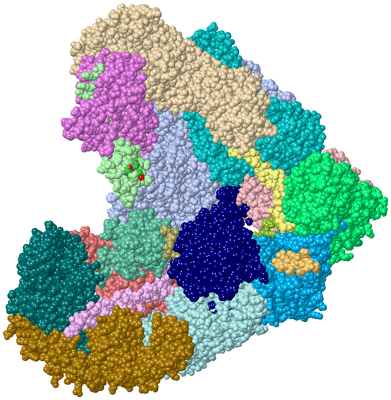 Image Asym./Biol. Unit - sites