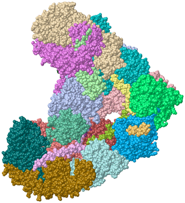 Image Asym./Biol. Unit