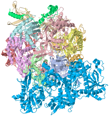 Image Asym./Biol. Unit