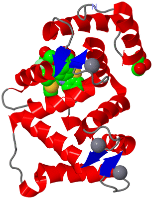 Image Asym./Biol. Unit