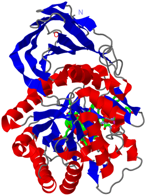 Image Asym. Unit - sites