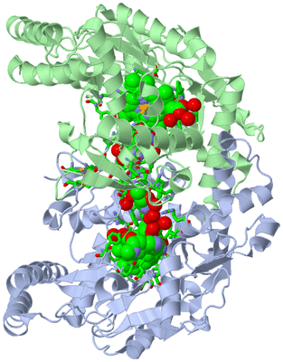 Image Asym./Biol. Unit - sites