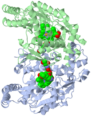 Image Asym./Biol. Unit