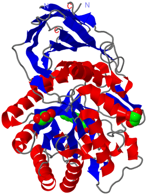 Image Asym./Biol. Unit