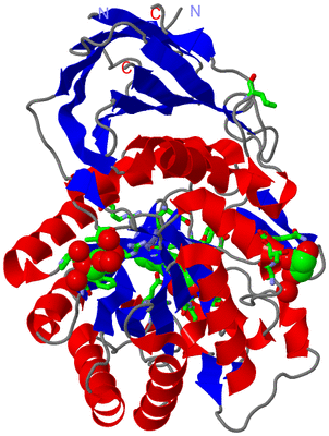 Image Asym./Biol. Unit - sites