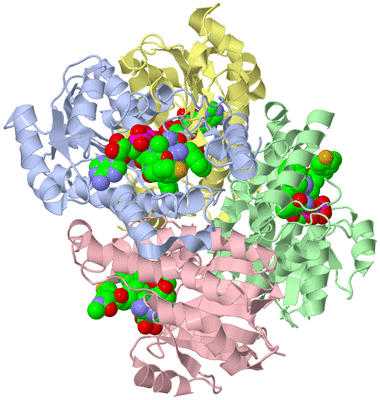 Image Asym./Biol. Unit