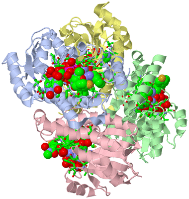 Image Asym./Biol. Unit - sites