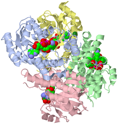 Image Biological Unit 1