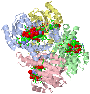 Image Biol. Unit 1 - sites