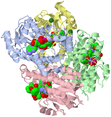 Image Biological Unit 1