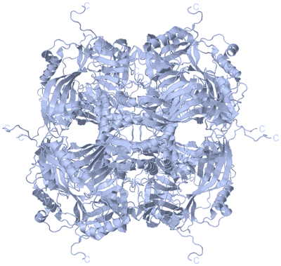 Image Biological Unit 1