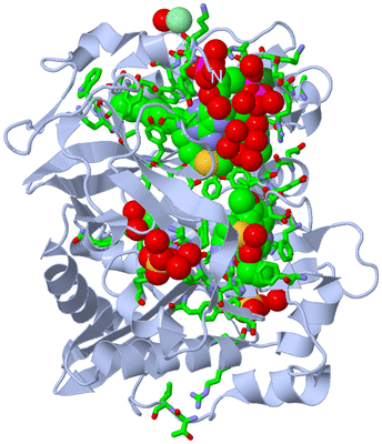 Image Biol. Unit 1 - sites