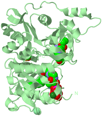 Image Biological Unit 2