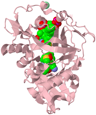 Image Biological Unit 3