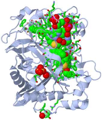 Image Biol. Unit 1 - sites