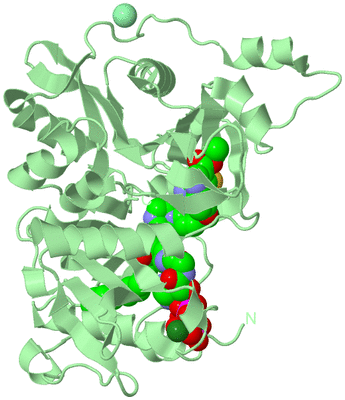 Image Biological Unit 2