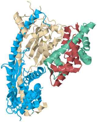 Image Biological Unit 1