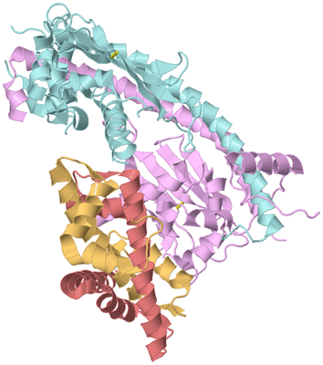 Image Biological Unit 2