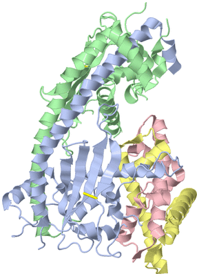 Image Biological Unit 3