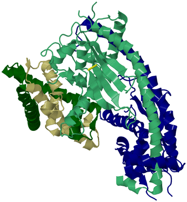 Image Biological Unit 4