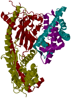 Image Biological Unit 5