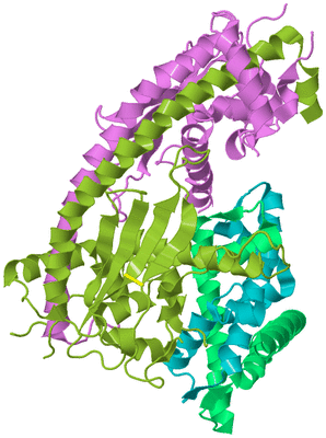 Image Biological Unit 6