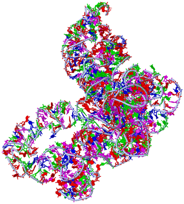 Image Asym./Biol. Unit