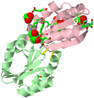 Image Biol. Unit 1 - sites