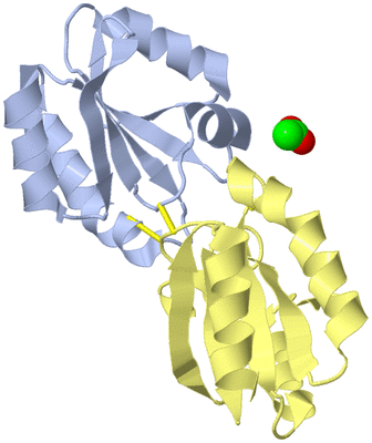 Image Biological Unit 2