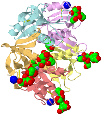 Image Asym./Biol. Unit