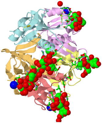 Image Asym./Biol. Unit - sites